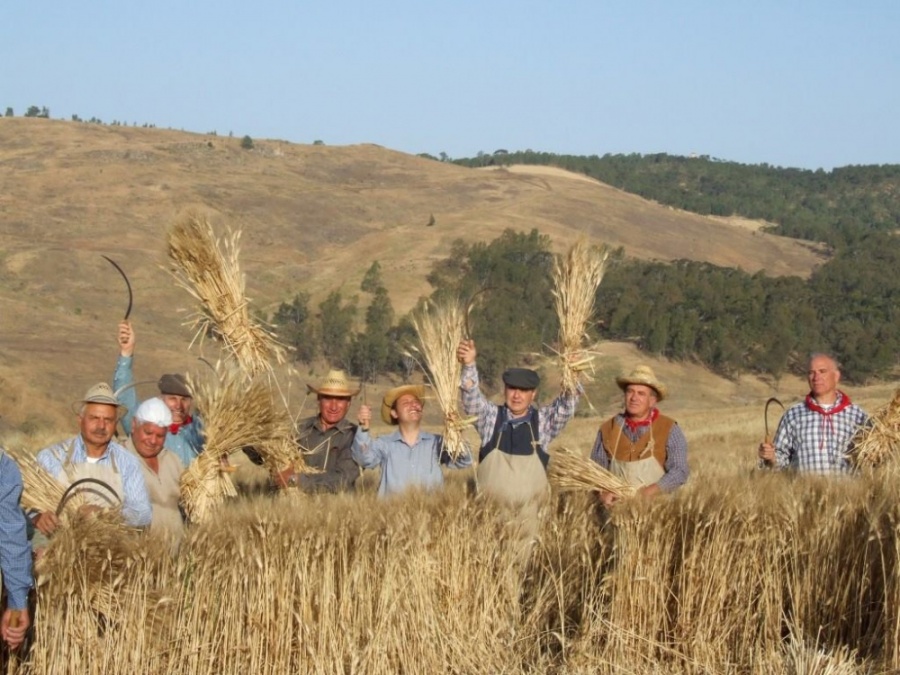 Raddusa: Festa del Grano 2018